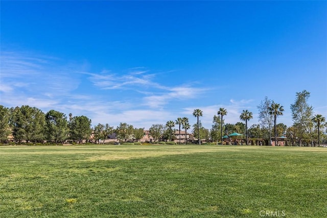 17648 Fan Palm Ln, Riverside, CA 92503 - photo 35