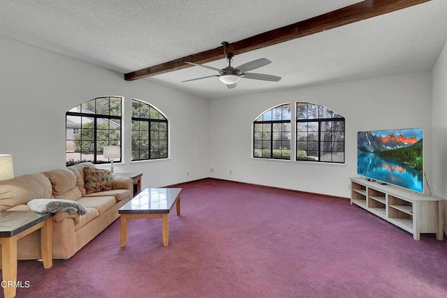 1271 Cliff Ave, Fillmore, CA 93015 - photo 10