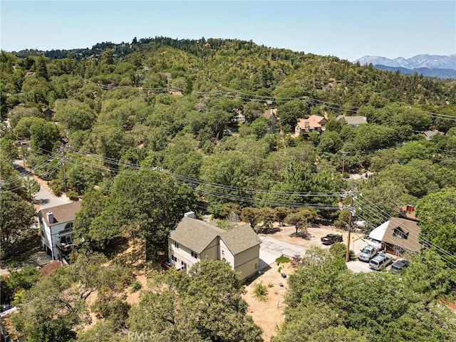 1509 Krause Ln, Lake Arrowhead, CA 92352 - photo 38