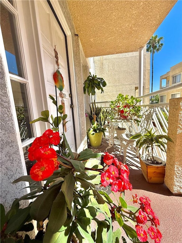 116 W Maple St Unit 18, Glendale, CA 91204 - photo 5