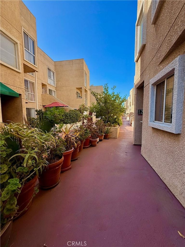 116 W Maple St Unit 18, Glendale, CA 91204 - photo 3