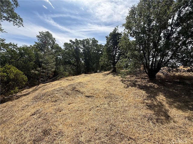 16318 Longhorn Ln, Corning, CA 96021 - photo 6