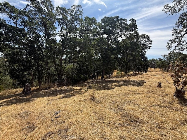 16318 Longhorn Ln, Corning, CA 96021 - photo 3