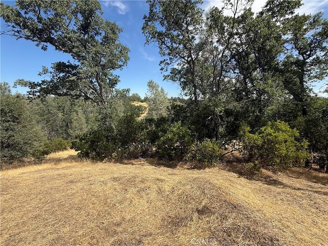 16318 Longhorn Ln, Corning, CA 96021 - photo 2