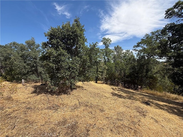 16318 Longhorn Ln, Corning, CA 96021 - photo 4