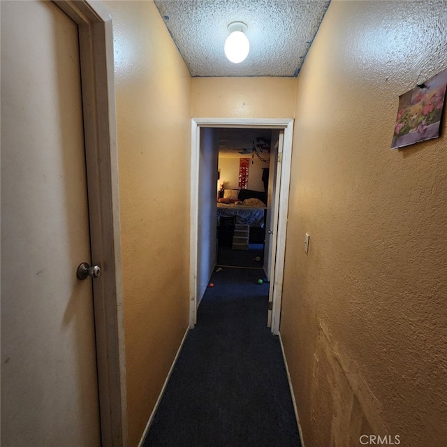 10408 S Wilmington Ave, Los Angeles, CA 90002 - photo 4