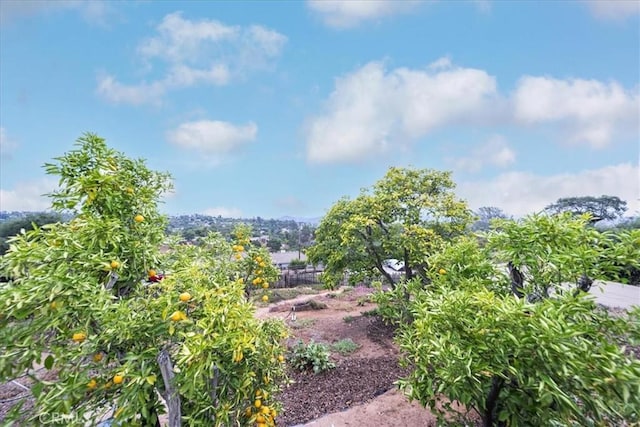 3057 Via Hermosa, Escondido, CA 92029 - photo 46
