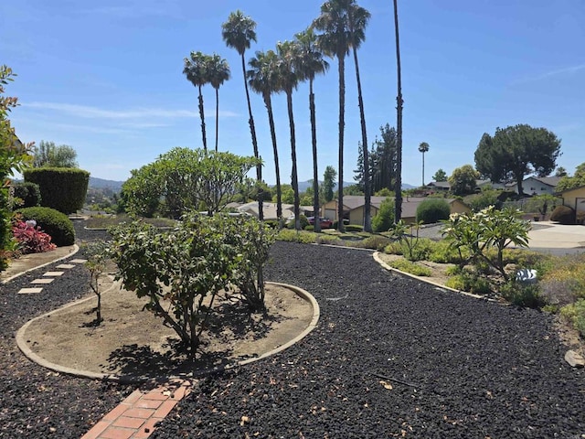 497 Vista Del Escuela, El Cajon, CA 92019 - photo 13