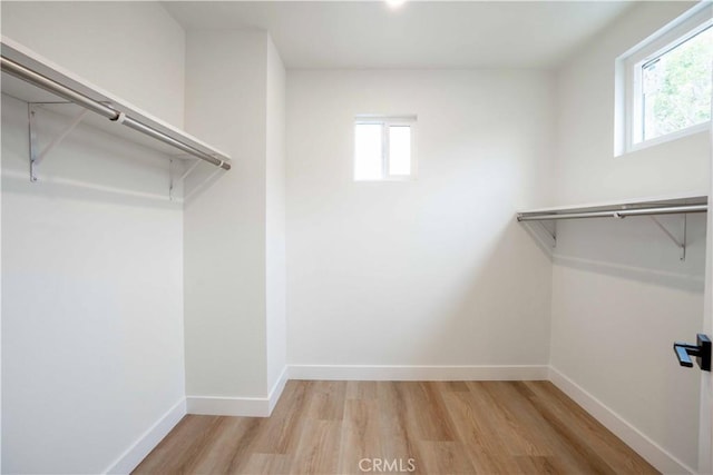 2911 S Ridgeley Dr, Los Angeles, CA 90016 - photo 31