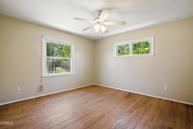 13739 Wyandotte St, Van Nuys, CA 91405 - photo 34