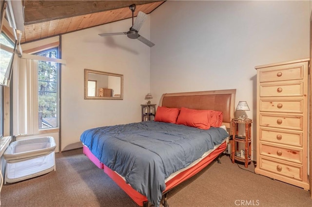 41935 Switzerland Dr Unit 36, Big Bear Lake, CA 92315 - photo 17