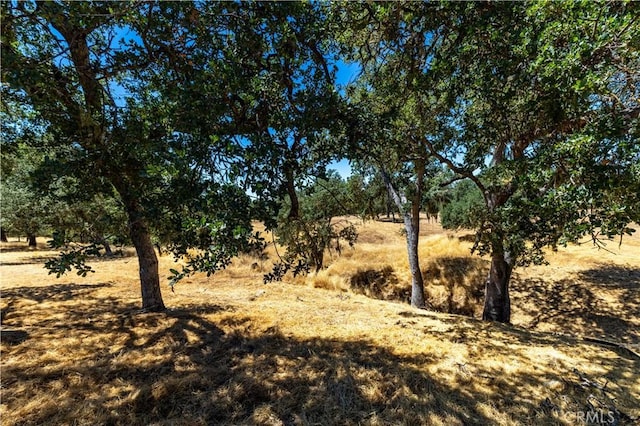 1735 Southfork Pl, Paso Robles, CA 93446 - photo 62