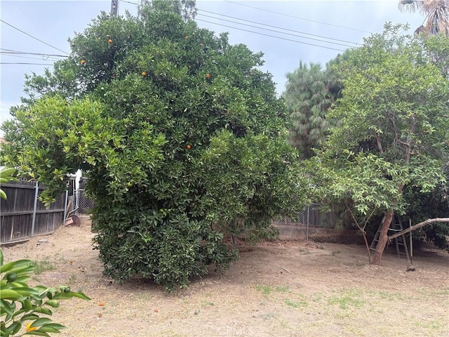 878 E Holly St, Rialto, CA 92376 - photo 37