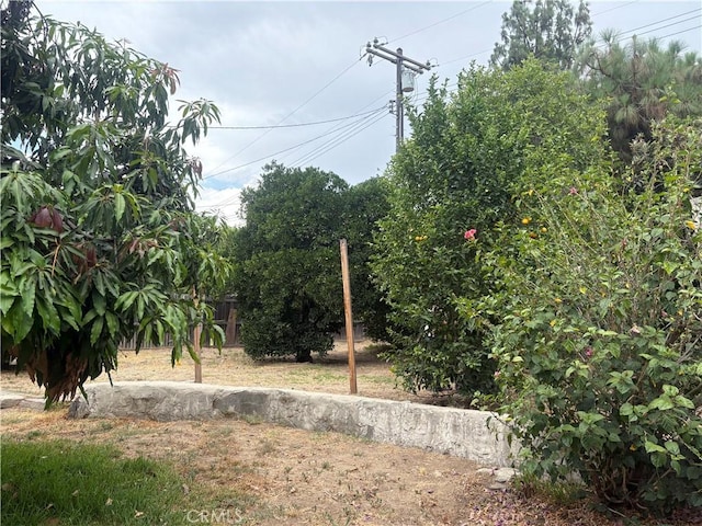 878 E Holly St, Rialto, CA 92376 - photo 38