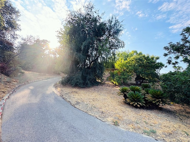 2545 Brea Canyon Cut Off Rd, Walnut, CA 91789 - photo 47