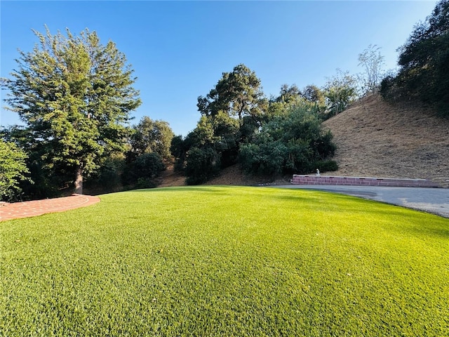 2545 Brea Canyon Cut Off Rd, Walnut, CA 91789 - photo 43