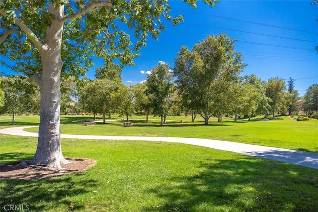 28230 Evergreen Ln, Saugus, CA 91390 - photo 38