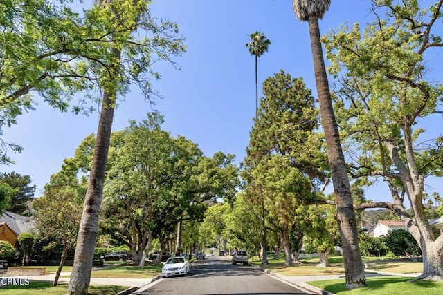 5218 Mount Royal Dr, Los Angeles, CA 90041 - photo 69