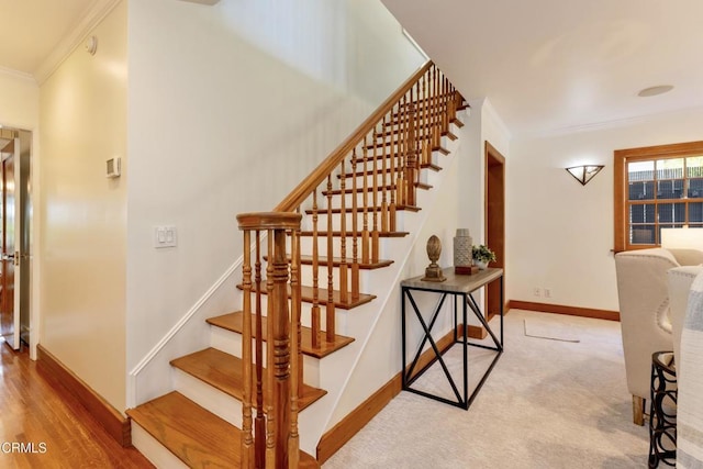 5218 Mount Royal Dr, Los Angeles, CA 90041 - photo 33