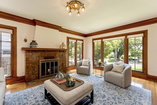 5218 Mount Royal Dr, Los Angeles, CA 90041 - photo 5