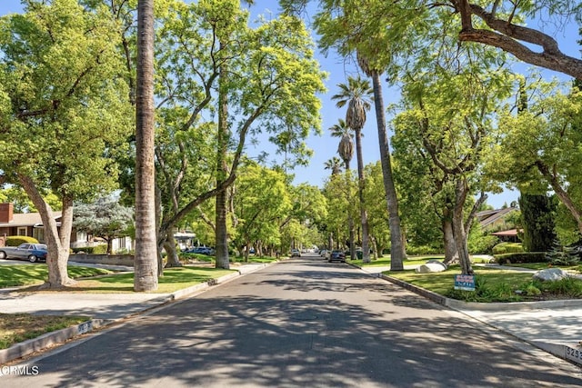 5218 Mount Royal Dr, Los Angeles, CA 90041 - photo 3