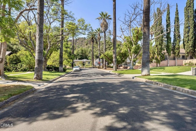 5218 Mount Royal Dr, Los Angeles, CA 90041 - photo 2
