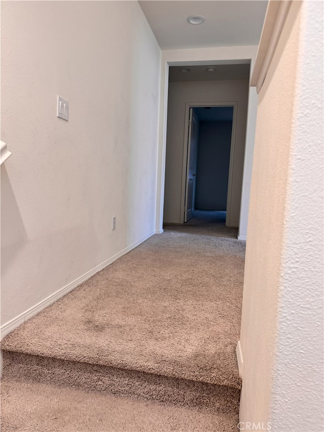 539 Hydrangea St, Hemet, CA 92543 - photo 49
