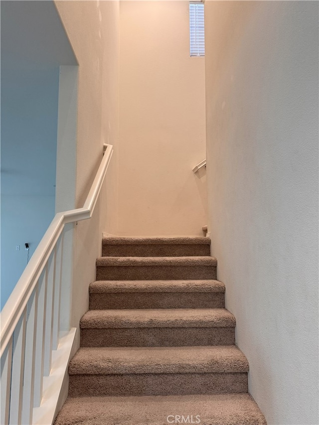 539 Hydrangea St, Hemet, CA 92543 - photo 51