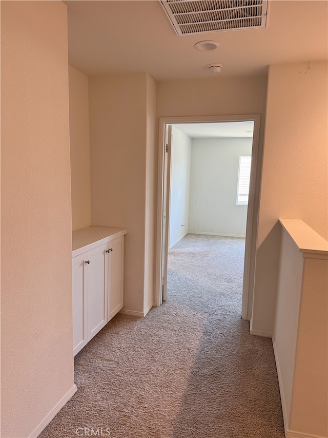 539 Hydrangea St, Hemet, CA 92543 - photo 48