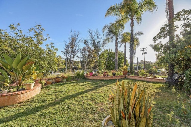 279 C St, Chula Vista, CA 91910 - photo 4