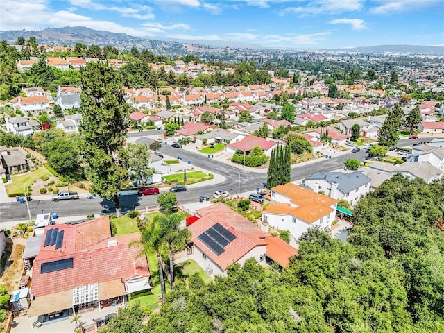 2446 Hillman Ln, Rowland Heights, CA 91748 - photo 51
