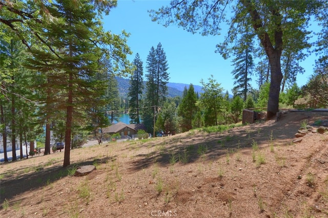 38007 Upper Emory Ln, Wishon, CA 93669 - photo 36