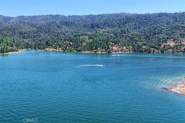 38007 Upper Emory Ln, Wishon, CA 93669 - photo 45