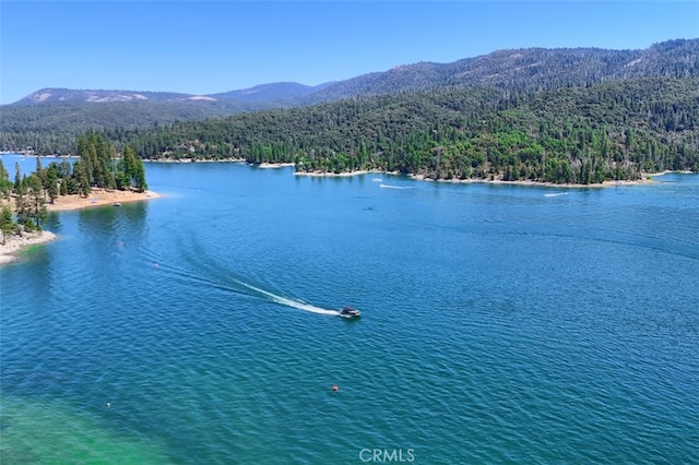 38007 Upper Emory Ln, Wishon, CA 93669 - photo 44