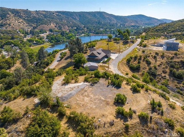 18155 Newview Dr, Lake Hughes, CA 93532 - photo 9