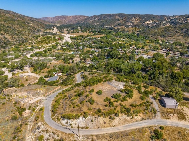 18155 Newview Dr, Lake Hughes, CA 93532 - photo 4