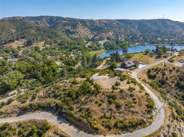 18155 Newview Dr, Lake Hughes, CA 93532 - photo 2