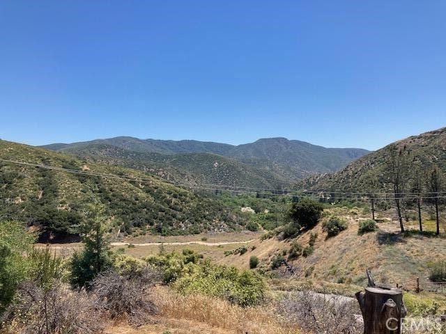 18155 Newview Dr, Lake Hughes, CA 93532 - photo 8