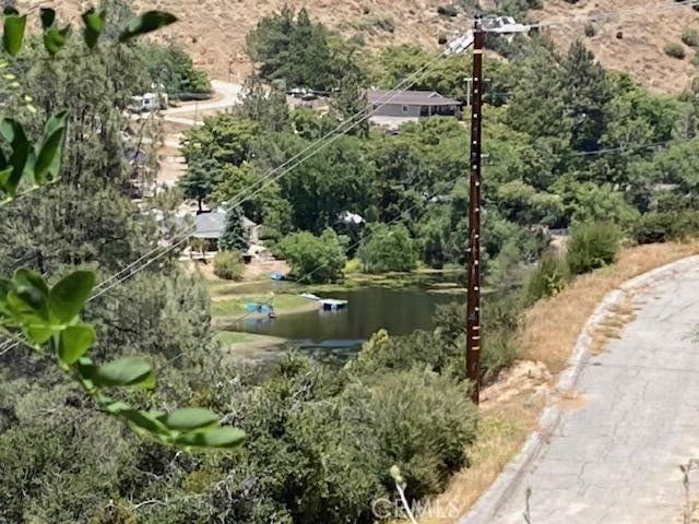 18155 Newview Dr, Lake Hughes, CA 93532 - photo 5