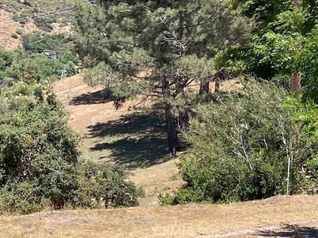 18155 Newview Dr, Lake Hughes, CA 93532 - photo 6