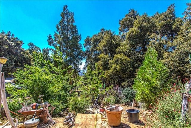 39065 Oak Glen Rd Unit 4, Oak Glen, CA 92399 - photo 12