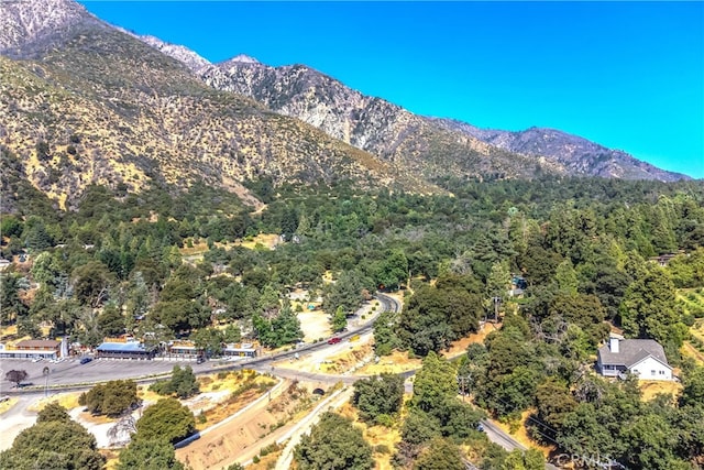 39065 Oak Glen Rd Unit 4, Oak Glen, CA 92399 - photo 5