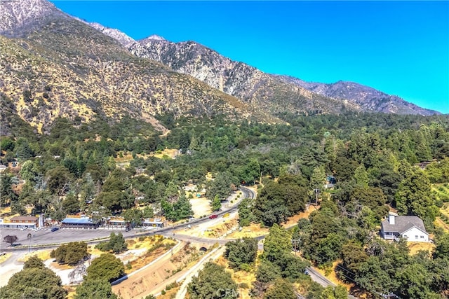 39065 Oak Glen Rd Unit 4, Oak Glen, CA 92399 - photo 3