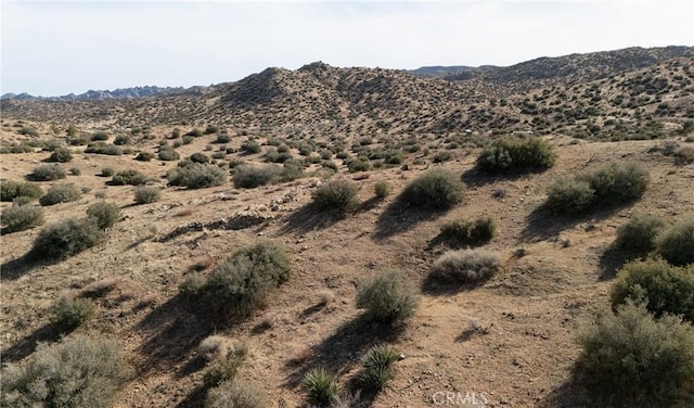 0 Tumbleweed Trl, Pioneertown, CA 92268 - photo 10