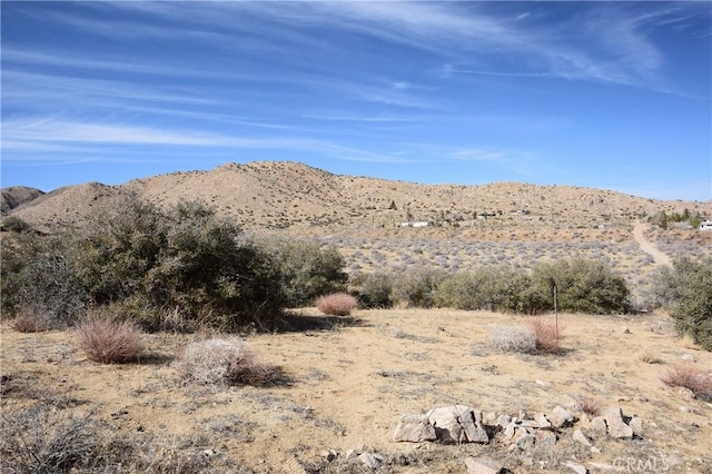 0 Tumbleweed Trl, Pioneertown, CA 92268 - photo 11