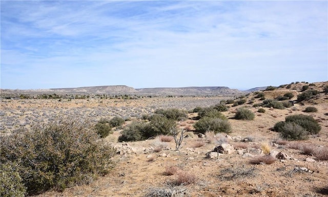 0 Tumbleweed Trl, Pioneertown, CA 92268 - photo 5