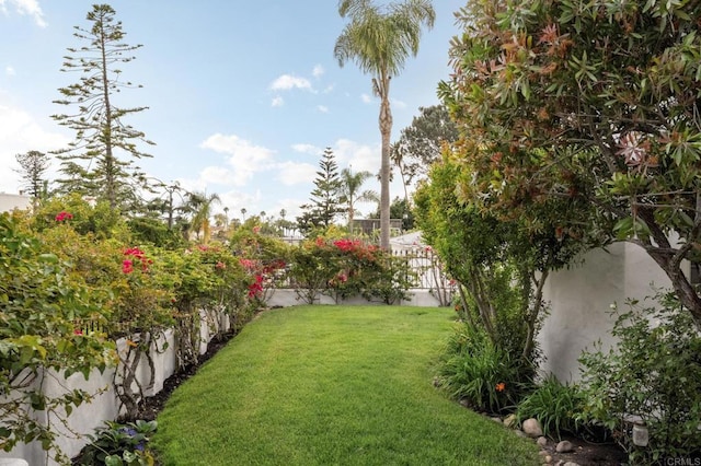 654 Bonair Pl, La Jolla, CA 92037 - photo 4