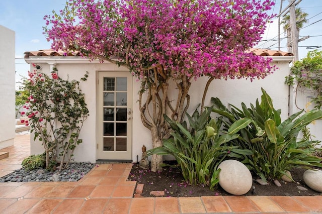 654 Bonair Pl, La Jolla, CA 92037 - photo 38
