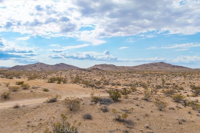 60150 Terrace Dr, Joshua Tree, CA 92252 - photo 18