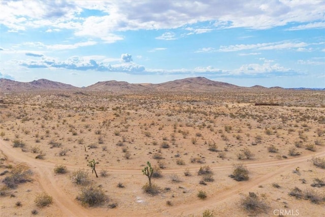 60150 Terrace Dr, Joshua Tree, CA 92252 - photo 10